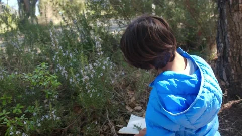Kid naturalist seated down explores the life of plants and insects Stock Footage 238369282