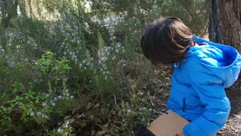 Kid naturalist seated down explores the life of plants and insects Stock Footage 238369284