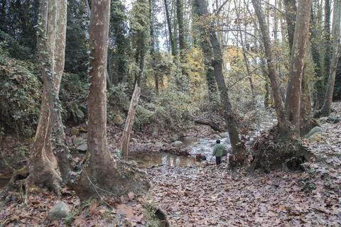 Kid next to a river Stock Photos