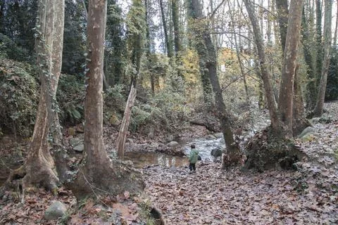 Kid next to a river Stock Photos