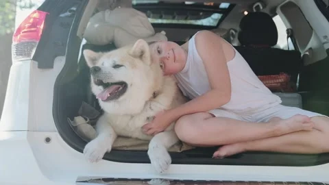 Kid petting the dog while sitting in Stock Video Pond5