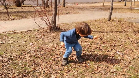 Kid Playing with Autumn Leaves in Park – Joyful Outdoor Fall Season Moment Stock Footage 305765053