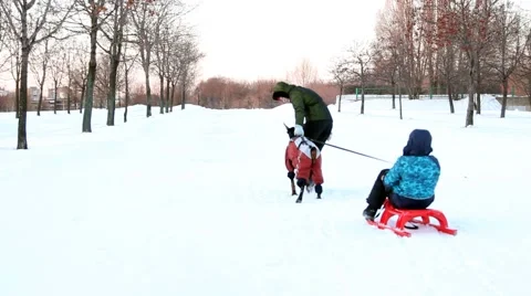 Kid playing with dog Stock Footage 45651457