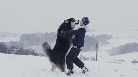 Kid playing with dog in winter Stock Footage 147855500