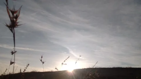 Kid playing Stock-Footage 134493266