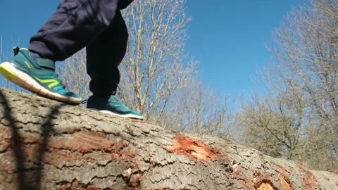 Kid playing in the forest park. close-up child feet walking on a fallen tree. Stock Footage 237424214