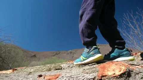Kid playing in the forest park. close-up child feet walking on a fallen tree. Stock Footage 237424229