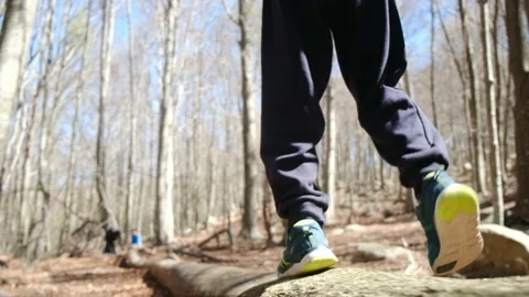 Kid playing in the forest park. close-up child feet walking on a fallen tree. Vídeos de archivo 237424950