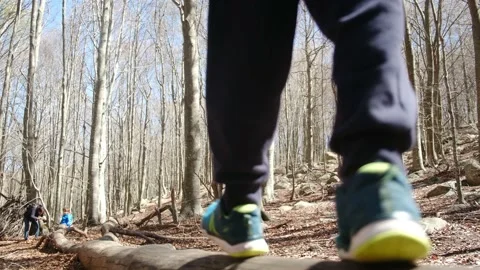Kid playing in the forest park. close-up child feet walking on a fallen tree. 動画素材 237424953