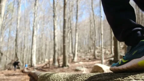 Kid playing in the forest park. close-up child feet walking on a fallen tree. Stock Footage 237424955