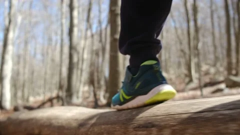 Kid playing in the forest park. close-up child feet walking on a fallen tree. Stock Footage 237424963