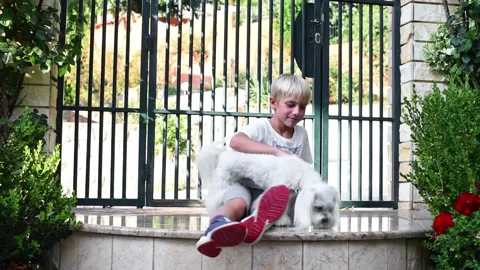 Kid playing with his dog outside. Stock Footage 137676253