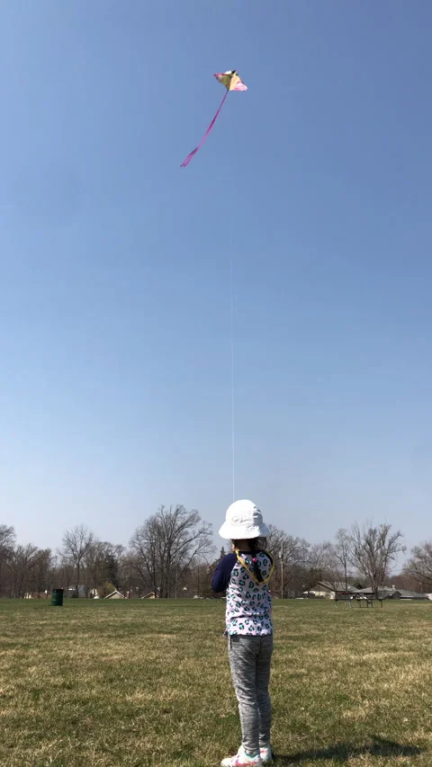 A kid playing with Kite on a yard in the sunny afternoon Vertical FS Stock Footage 257239089