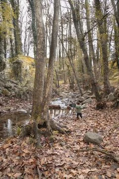 Kid playing in a river Stock Photos