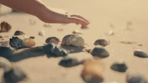 A kid playing with seashells at the beach Stock Footage 262390501