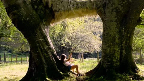 Kid playing with sticks in the forest Video stock 250083427