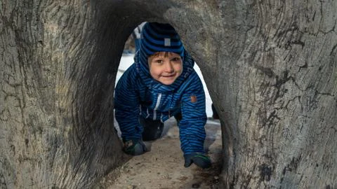 Kid playing under the tree in winter time Stock Photos
