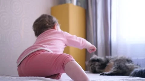 The kid plays with the cat, pulls his hands to him. HD, 1920x1080, slow motion. Stock Footage 147139471