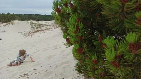 Kid plays in sandy dune. Stock Photos