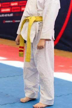 A kid in position for a karate presentation Stock Photos