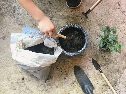 Kid preparing soil to plant the tree Stock Photos