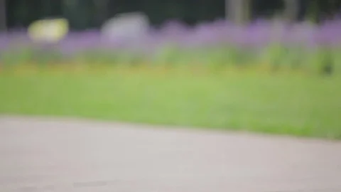 Kid riding a bicycle full hd 스톡 동영상 74606262