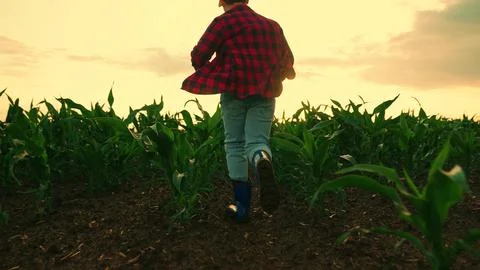 Kid running slow motion in rubber boots through green field of sprouts in sun Stock Photos
