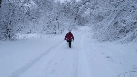 Kid snow road Stock Footage 168873109