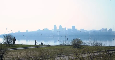 Kid is Standing on a River Bank Throws a Bread, kid is Feeding a Birds, Seagulls Video stock 126845124