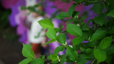 Kid Stands in Front of Height Measurement in Zoo or Nature Park Stock Footage 333075749