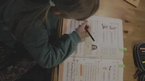 Kid Studying Stock Footage 241750714