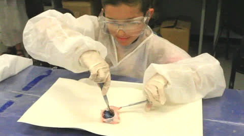Kid surgeon in science lesson Stockbeeldmateriaal 25456804