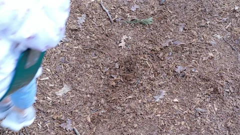 Kid on swing at a playground Stock Footage 325140009