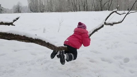 Kid swinging on a branch Stock Footage 72173059