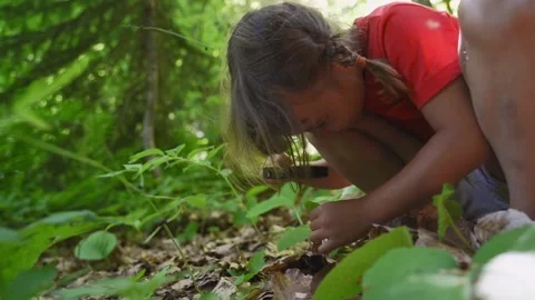 Kid tourist examines micro mushrooms on moss with a magnifying glass in park Stock Footage 168161908