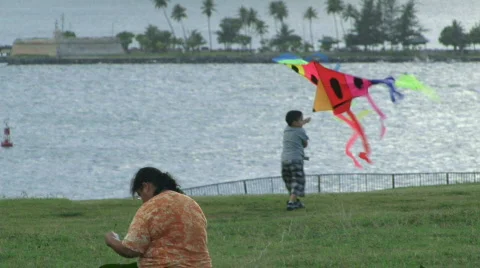 Kid Trying to Get a Kite Up - Puerto Rico - 01 Stock Footage 622338