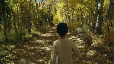 Kid Walk Forest Path Stock Footage 82273970
