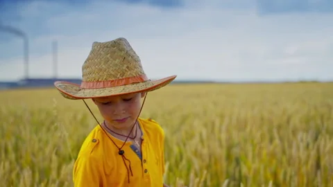 Kid at wheat field Stock Footage 135985746