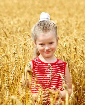 Kid in wheat field. Stock Photos