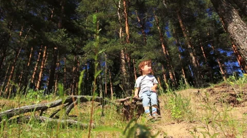 The kid in the woods Stock Footage 51006673