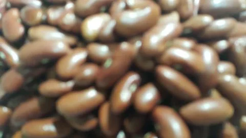 Kidenry beans:   Closeup view of uncooked red kidney beans. Dark red useful b Stock Photos