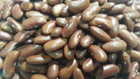 Kidenry beans:   Closeup view of uncooked red kidney beans. Dark red useful b Stock Photos