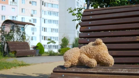 Kidnapped child with no teddy Stock Footage 314222776