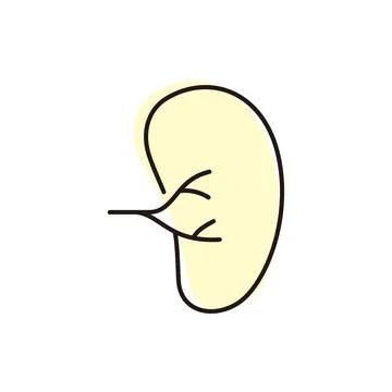 Kidney and its branches shown in a simple design for educational purposes in Stock Illustration