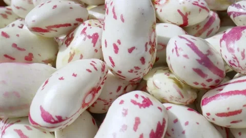 Kidney Bean Close Up Stock Footage 218615433