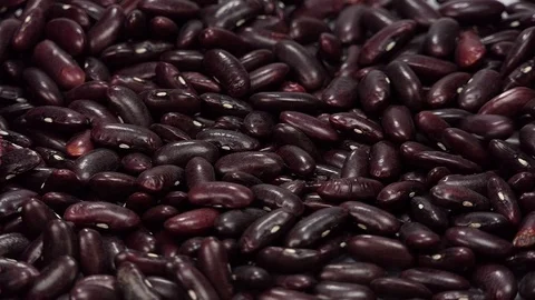 Kidney bean falling from top in slow motion 96 fps Stock Footage 108472577