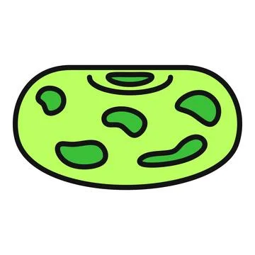 Kidney bean green doodle drawing flat icon Stock Illustration