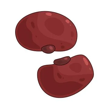 Kidney Bean illustration Stock Illustration