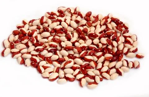 Kidney bean Stock Photos