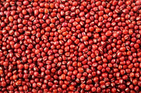 Kidney bean Stock Photos